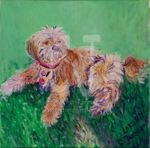 Lakshmi Puppy by Christina Jarmolinski Lakshmi Puppy by Christina Jarmolinski