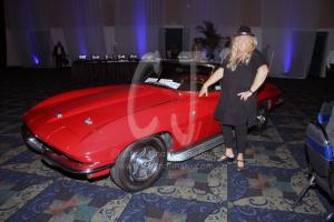 Corvette being auctioned by Christina Jarmolinski Corvette being auctioned by Christina Jarmolinski