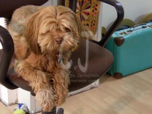 Lakshmi exhausted from watching us