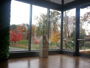 View onto Walnut Hill Park photo by Christina Jarmolinski