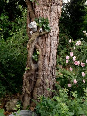 Uschi's Garden and Spirit