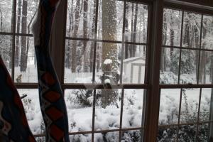 View out of my Studio Window