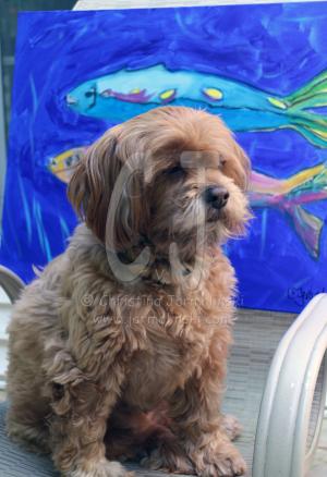 Fish Fry and Lakshmi