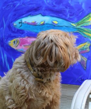 Fish Fry and Lakshmi