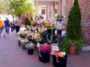 Memories of  Amsterdam by Christina Jarmolinski