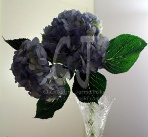 Art Deco vase with Hydranges by Christina Jarmolinski