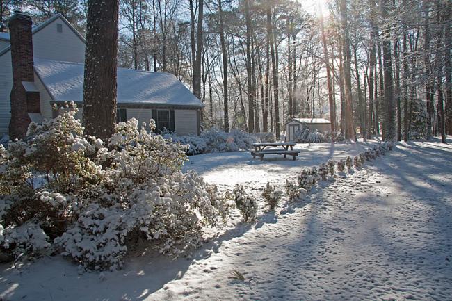  2014- a White Christmas photo Rob de Koter
