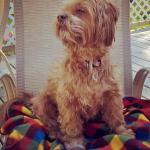 Ok. Which bird was that?