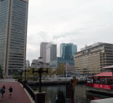 The harbor