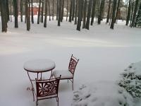 In the morning snow