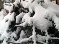 More Snow in Munich!