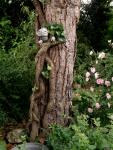 Uschi's Garden and Spirit