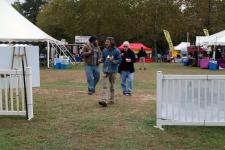 Arts in Pemberton with fellow artists