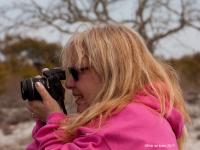 Christina photographing Horses on Assateague Island