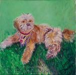 lakshmi puppy- 3 months old