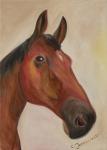Our neighbors horse-Jack