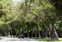 driving-home-from-Assateague