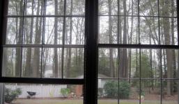 View out of new Studio in Maryland by Christina Jarmolinski