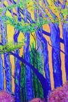 Forest in the Sunlight by Christina Jarmolinski
