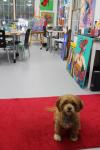 And my dog is always in my art studio watching me paint and create.