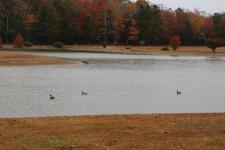 An Afternoon in Autumn with my Canon in my Neighborhood
