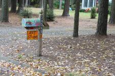 An Afternoon in Autumn with my Canon in my Neighborhood