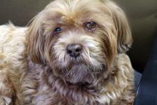 Snow Storm 2015- Salisbury got it's share last night