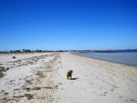 Lakshmi on Slaughter Beach, Delaware