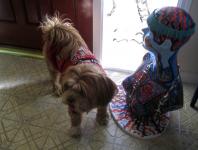 Lakshmi viewing my art