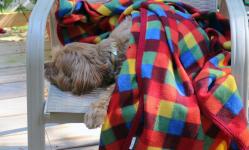 Painting outside with Lakshmi as my critic