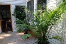  finishing Pemberton painting outside 