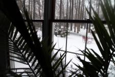 Snow Storm 2015- Salisbury got it's share last night