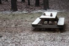 Snow Storm 2015- Salisbury got it's share last night