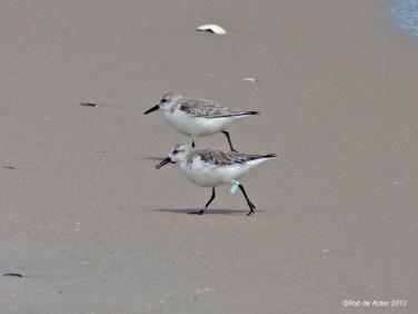 Two Beach Runners by Rob de Koter