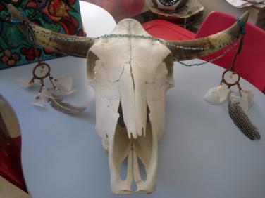 RJ liked this skull so I passed it on to him-let's see what he does with it