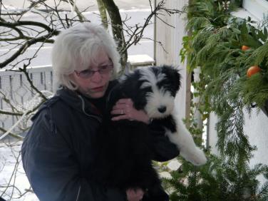  Art Collector &Beardie Breeder Eva Geh with Lilly-photo by Christina Jarmolinski