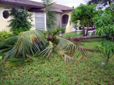 Isaac Tropical Sturm damage by Christina Jarmolinski