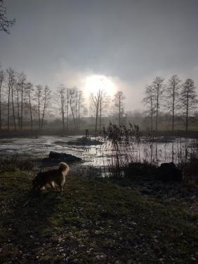 Shiloh Yesterday at the Lake by Christina Jarmolinski Shiloh Yesterday at the Lake by Christina Jarmolinski